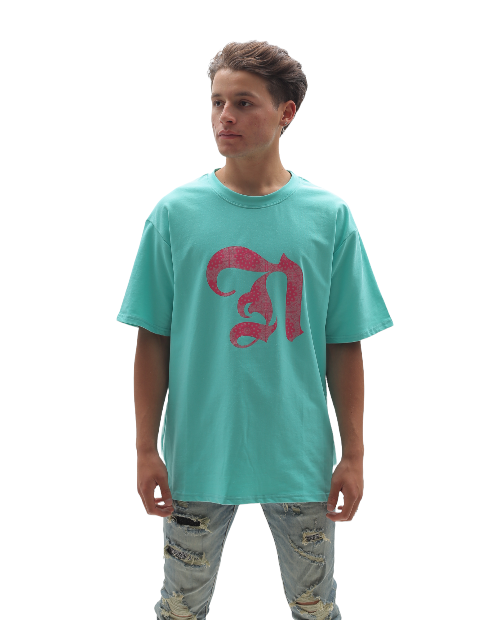 Paisley Pattern N Logo T Shirt - Teal